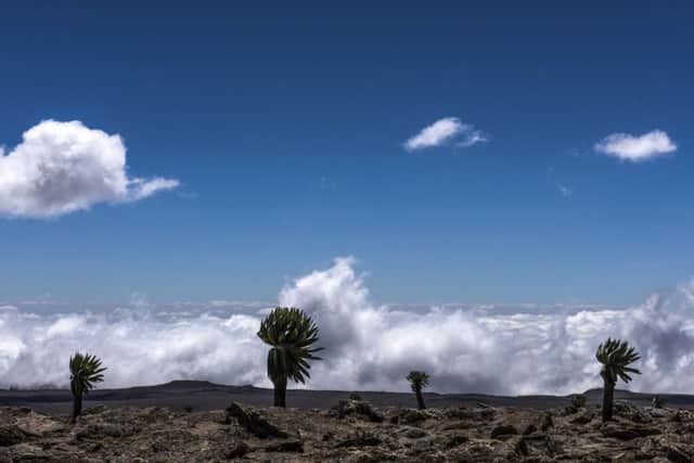 Bale Mountains, Ethiopia
