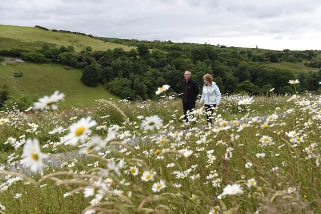Walkers try out the new pathways and feast their eyes upon the wildflowers at Brackfield Wood