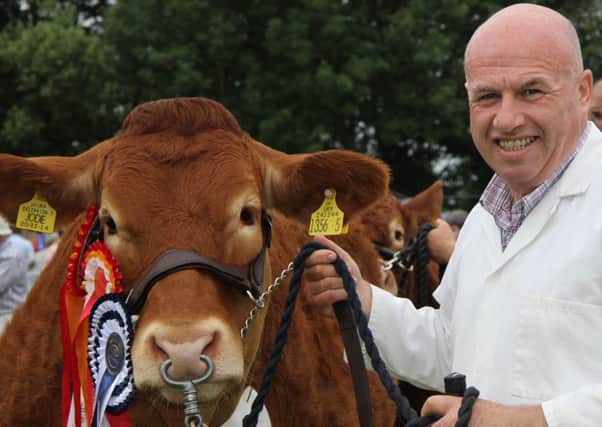 Larry Crilly with his Limiousin champion Shanhill Jodie at Antrim Show