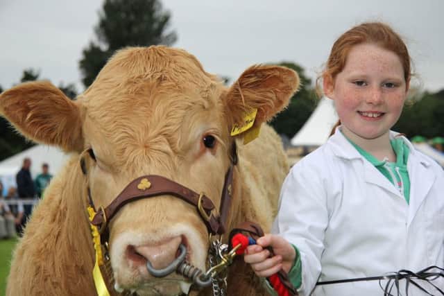 Aiofe Griffin, Toomebridge, with her prize winning British Blonde calf. Pictures: Julie Hazelton
