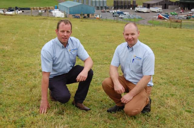 Assessing the site for next Thursday's grass re-seeding demonstration: l to r Barry Holland and Stephen McKenna, from Gortavoy Feeds