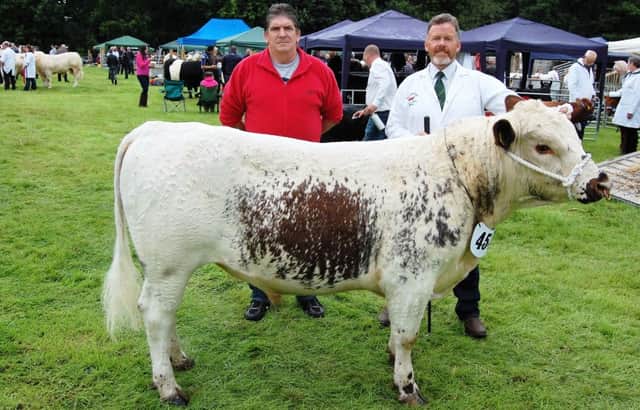 Rare Breeds Survival Trust (RBST) Support Group Northern Ireland chairman Brian Hunter (left) chatting to Irish Moiled cattle breeder Robert Boyle about the upcoming RBST show and sale, planned for Gosford Forest Park on Saturday September 3rd.