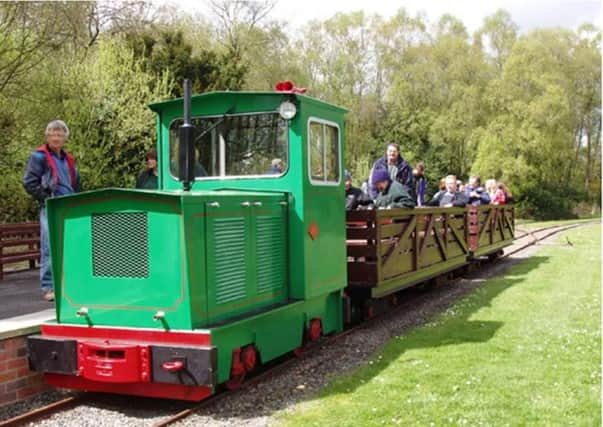 The train at Peatlands Park in Dungannon, Co Tyrone