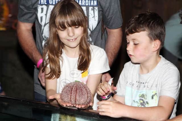 Scarlet and Max Hutchinson inspect a sea urchin in the newly revamped Exploris