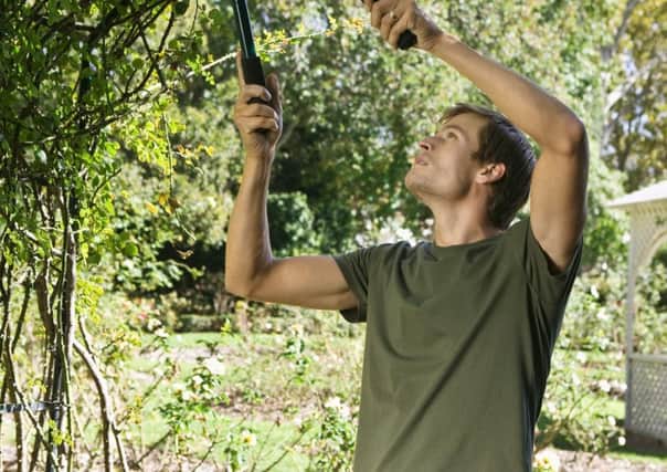 A Generic Photo of a man gardening in the shade. See PA Feature GARDENING Shade. Picture credit should read: PA Photo/thinkstockphotos. WARNING: This picture must only be used to accompany PA Feature GARDENING Shade.