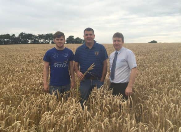 Pictured in the winning field of Winter Wheat are David McKeeman (Son), David McKeeman & Ian Gregg UFU Group Manager.