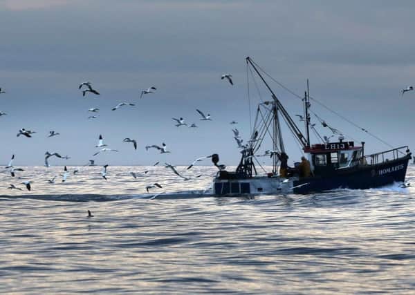 The European Common Fisheries Policy (ECFP) has done "savage" damage to fishing. Photo: David Cheskin/PA Wire