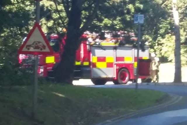 The fire brigade at Carnfunnock Country Park. INLT-36-702-con