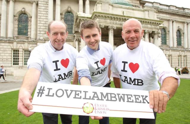 Photo 1: Pictured are Ian Buchanan, UFU Hill Farming Chairman, Elliot Bell, UFU Beef and Lamb Policy Officer and Crosby Cleland, UFU Beef and Lamb Chairman at Belfast City Hall promoting locally produced lamb.