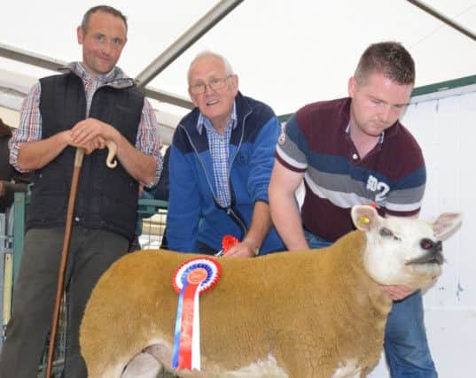 Ian Millar Millcomb Texels Ballyclare with the Fane Valley Champion Shearling Ewe at the NI Texel Breeders Club Balmoral Maze Show and Sale.  Also pictured are Judge Malachy McMeel, Monaghan and purchaser Martin Mullan Bluegate Texels Limavady