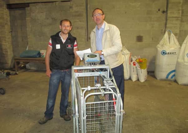 David Cromie (left) and Senan White checking the sheep weighing crate prior to the visit by the Banbridge Sheep Business Development Group to the farm near Rathfriland.