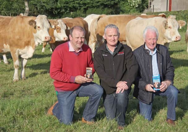 Bimeda's Kevin McAnenly, centre, discusses the effective control of parasites in cattle using Bimectin Plus with Matthew Cunning, chairman, and Leslie Weatherup, treasurer, NI Simmental Club. Bimeda is sponsoring the club's forthcoming autumn show and sale at Dungannon.