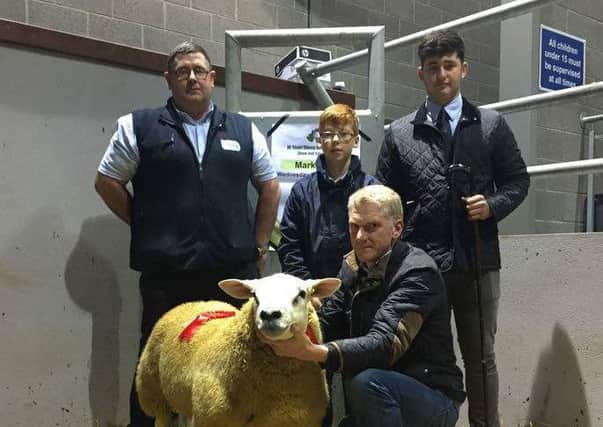 Brian Hanthorn Mullan Texels with son George accepting the Fane Valley Champion Rosette from Young Breeder and Judge Bailie OConnor and Fane Valley Representative Donald Mackin at the NI Texel Breeders Club Show and Sale at Markethill.
