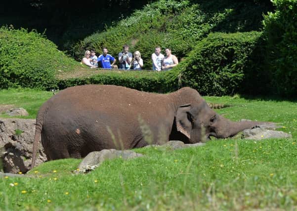 Visitors at the zoo in July 2016