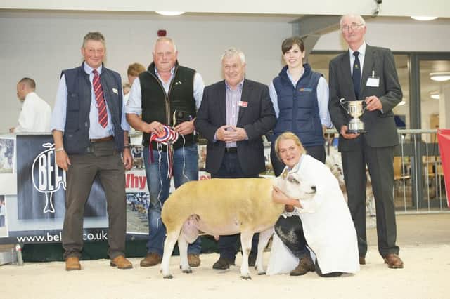 Scooping the Supreme Championship at the National Beltex Sale at Carlisle was the Ardstewart flock of Wade & Alison McCrabbe, Donegal.