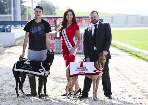 Miss Northern Ireland Emma Carswell, from Gilford, adds a touch of glamour to the launch of the 2016 Tennents Gold Cup at Drumbo Park Greyhound Stadium.  She is pictured with (left) handler Kurtis Bain from Dromore, and Ballinderrys John Connor,
