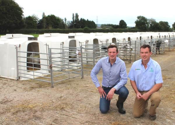 Randalstown milk producer Sam Hill (left) and Teemore Engineering's Adrian Bates with a row of Agri Plastics' calf hutches behind