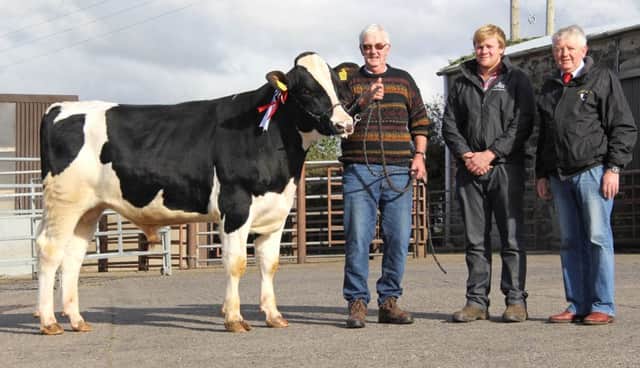 Austin Perry, Ahoghill, exhibited the supreme champion Killane Rolo sold for a top price of 1,850gns at Holstein NI's autumn show and sale at Kilrea. Included are judge Ian Watson, Coleraine, and sponsor James Kelso, Semex.