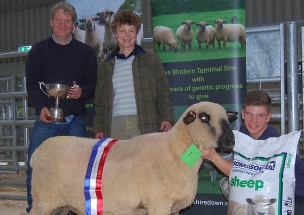 Champion from P and H Stevenson at 370gns