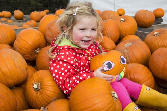 Sophie Mayers from Dundrum at the Castle Ward Pumpkinfest. Pumpkinfest is back for its tenth year this coming weekend, Saturday 22 and Sunday 23 October