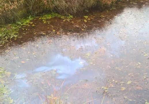 Pictures of alleged pollution in a body of water in Greencastle on Saturday, October 15
