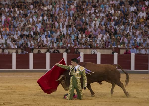 A bullfight in Valladolid in the middle of Spain last month. Catalonia wants to reject such events in its region. (AP Photo/Daniel Ochoa de Olza)