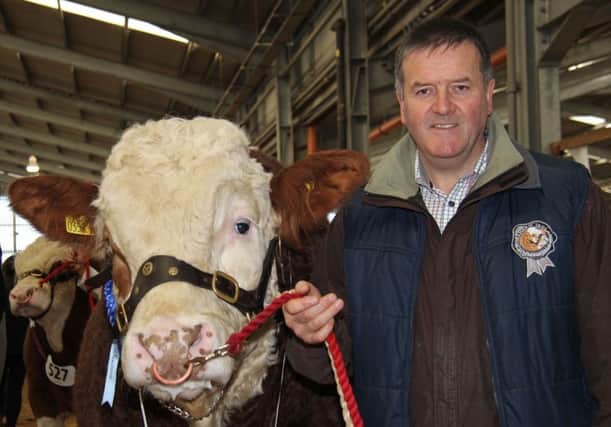 Newly elected president of the British Simmental Cattle Society, Robin Boyd from Portglenone.
