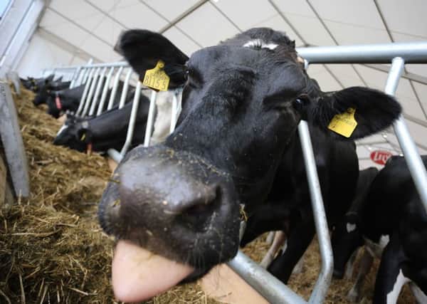 Dairy farmers have suffered from volatile markets