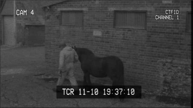 World Horse Welfare, has launched a campaign to make CCTV or other recording technology a legal requirement in all of the UKÂ’s equine slaughterhouses