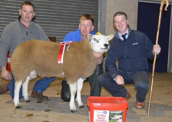 Nigel Ross accepts the SH Coleman Championship at the NI Texel Club Harvest Show and Sale at Ballymena from Judge Philip Whyte and Geoffrey Fleck representing Sponsor of the event SH Coleman Glarryford.