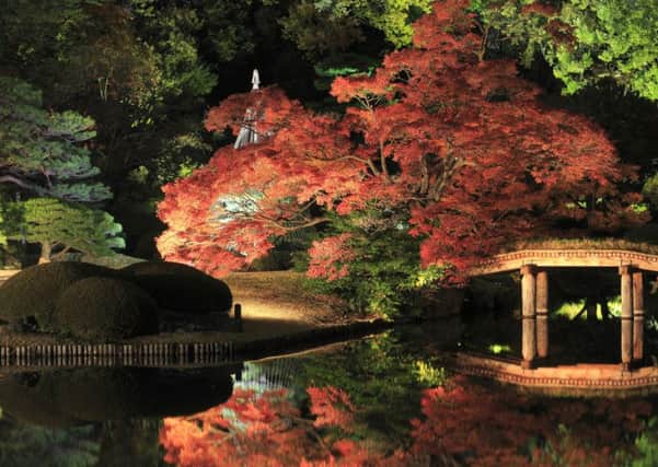 A Japanese garden at night
