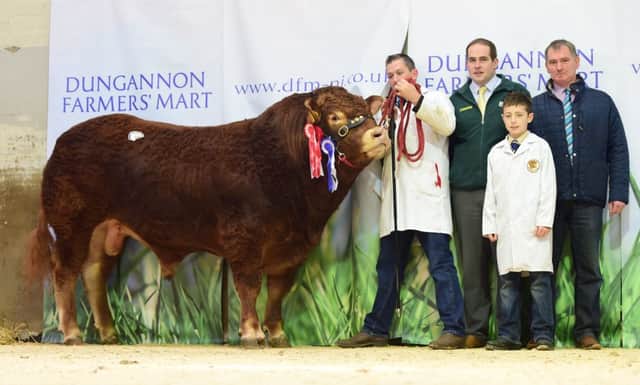 The Supreme champion at the NI Limousin Sale held at Dungannon Mart was exhibited by M Diamond, Garvagh.