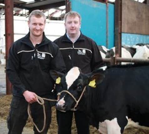 David Irwin, left, Redhouse Holsteins and Conor Loughran, Genus ABS selecting Commander Jan as prize heifer in the Genus ABS Christmas prize draw.