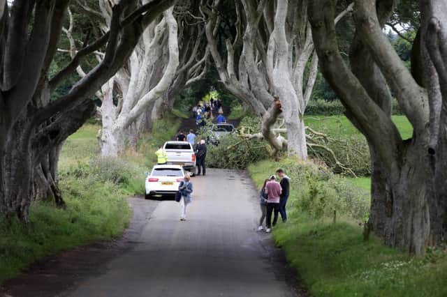 Thousands of tourists at the Dark Hedges near Armoy in Co Antrim have raised fears of root damage to the world-famous trees