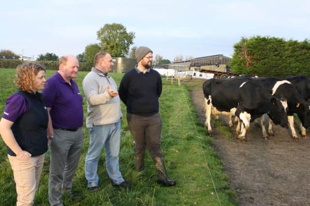 Visiting the Kelly family farm at Bloomfield House,Portlaoise during  the Elanco conference to launch the first immuno restorative for dairy cows  in Ireland were Michelle McCotter,Elanco, John Cook,MRCVS,Elanco, Prof. Dirk Werling,Royal Veterinary College London and host Andrew Kelly.