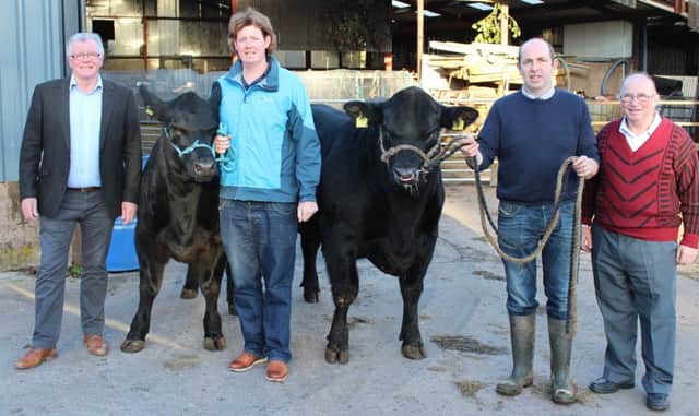 Looking forward to next year's Newry Show and the World Angus Forum celebrations: l to r Brian Lockhart, Secretary Newry Show; Kyle Henry, Chairman Newry Show; Alan Cheney, President Aberdeen Angus Association of Ireland and Sidney Cromie, Cattle Section Newry Show
