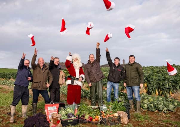 Left to right are: Sam Robinson, North Down Group, Adrian McGowan, grower, Ivor Ferguson, UFU deputy president, Paul Hamilton, grower, Stephen Doonan, grower, Martin Sloan. grower, and James Booth, grower
