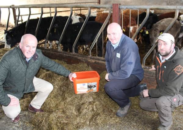 Discussing the benefits of easy Breather: l to r David Morgan, Crystalyx; Adrian Stevenson, manager Fane Valley stores Lisbane and Ian Reid, suckler beef producer Killinchy. The product will feature prominently on the Crystalyx stand at the Winter Fair