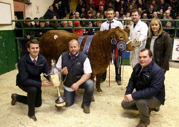 Supreme Champion 2016 at Allams went to JCB Commercial Partnership Gareth Corrie, Jonathon Neill and Charlie Beverland. Also included are William Thompson, Head of Agriculture Bank Of Ireland, and Richard Primrose, Agri Advisor Bank of Ireland. Looking on is DEFRA Minister Michelle McIlveen. PICTURE: STEVEN MCAULEY/MCAULEY MULTIMEDIA