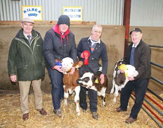 Judge Sam Milliken is pictured with Fleckvieh prize winners in the over one-month-old class, Chris Duncan, Crumlin, second; Samuel Warwick, Ballyclare, first; and William Gilmore who showed the calf on behalf of Rodney Bell from Portglenone. Picture: John McIlrath