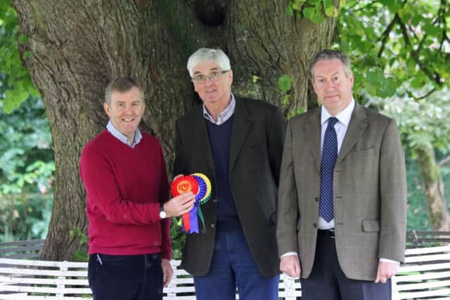 Discussing the strong catalogued entry for next week's Dungannon Dairy Sale are, from left: Ben Mallon, AI Services (NI) Ltd, sponsor; Holstein NI committee member David Perry; and auctioneer Michael Taaffe.