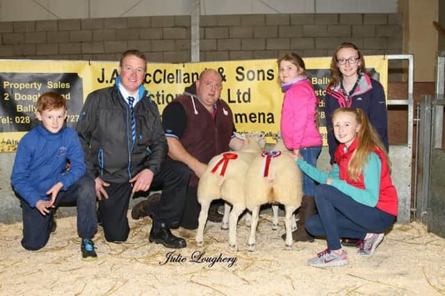 Champion Pair of Beltex lambs at the Christmas Show and Sale went to William McAllister, Kells. Also pictured is the main sponsor of the show John Jackson and family, Cara Millar, from Choice Cut Meats, purchaser, and Sophie McAllister.