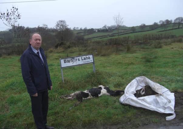 DUP MLA William Irwin pictured with carcasses of dead calves which were dumped in Co Armagh
