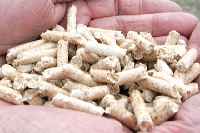 A handful of wood pellets, the main fuel used in the RHI scheme