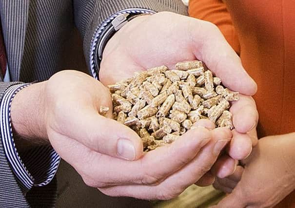 Wood pellets are used to fuel biomass boilers under the Renewable Heat Incentive