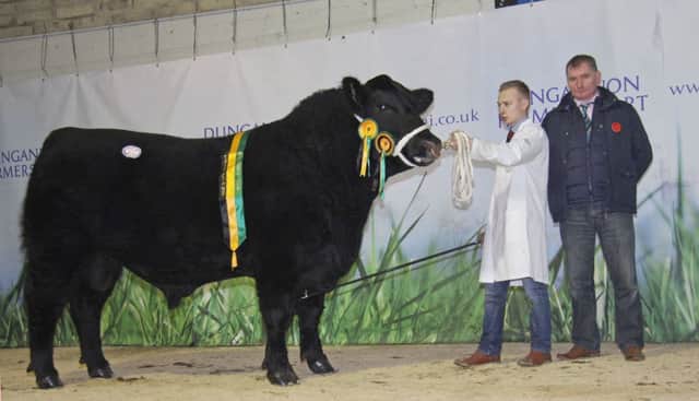 James Porter's male champion Old Glenort Krank R697 sold for a top price of 4,400gns at the Aberdeen Angus Cattle Society's Dungannon show and sale. Handler James Rea was congratulated by judge Trevor Shortt, Strabane.