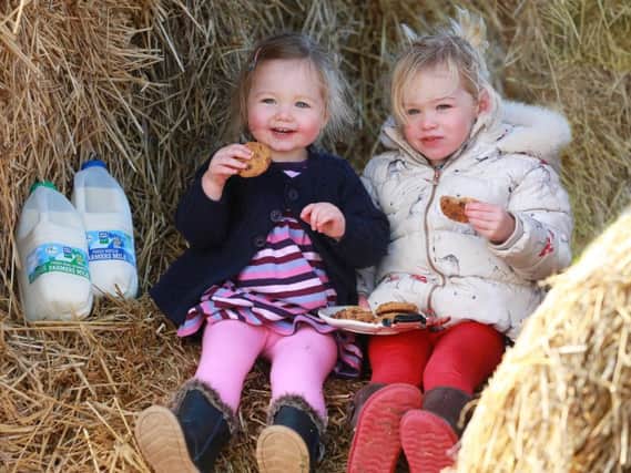 Two year-old cousins, Caoimhe McKnight (L) and Izzy Stothers (R) from Dundonald sample cookies and Farmers Milk to make sure theyre perfect for Santa on Christmas Eve.