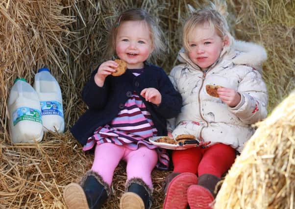 Two year-old cousins, Caoimhe McKnight (left) and Izzy Stothers (right) from Dundonald sample cookies and Farmers Milk to make sure theyre perfect for Santa on Christmas Eve