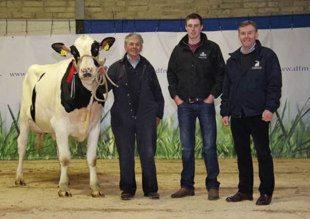 Champion Holstein at the recent Dungannon Dairy Sale was the 2,800gns Hilltara Planet Mary PLI Â£137 bred by Sam McCormick, Bangor. He was congratulated by judge David Simpson, Lisburn; and sponsor Ben Mallon, AI Services (NI) Ltd.