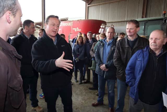 David Cameron campaigning in the EU referendum during a visit to Harold Johnston's dairy farm, Ballybollan House near Ahoghill in Co Antrim. Picture: Cliff Donaldson